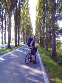 Christian unter der Allee, die zur Reichenau f�hrt