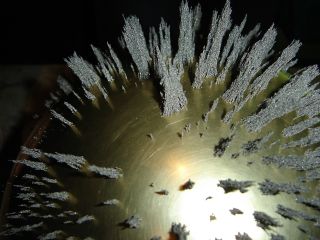 Eisensp�ne auf einer magnetischen Kugel