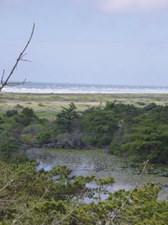 Blick: See D�nen Meer