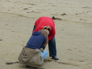 Bernsteinsuche in geb�ckter Haltung