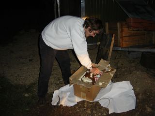 Zuversichtlich mache ich mich �ber den PU-Schaum her