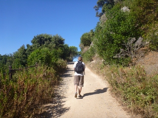 Bj�rn latscht durch die Hitze