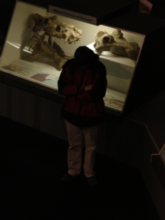 Ich guck auf die Uhr, weil das Museum bald schlie�t