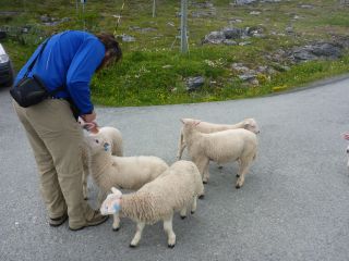 Christian und L�mmer