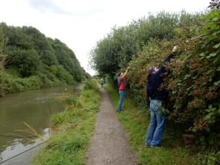Beim Brombeeren pfl�cken