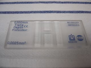 Neubauer-Z�hlkammer