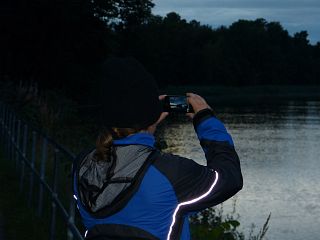 Bj�rn fotografiert