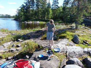 Bj�rn auf der Insel