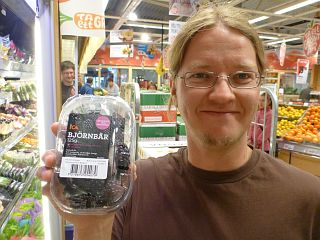 Bj�rn mit Brombeeren