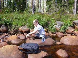 Bj�rn auf einem Stein