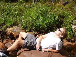 Bj�rn liegt auf dem Stein und chillt