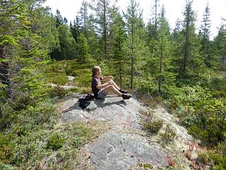 Bj�rn macht Pause auf einem Stein