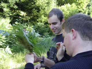 Dominic bindet den Strau� zusammen