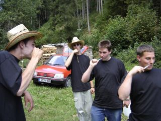 Alle putzen sich die Z�hne