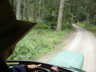 Kroni f�hrt durch den Wald